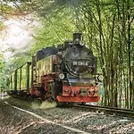 Duenenpark 090